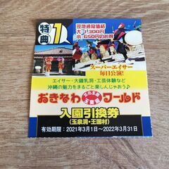 【ネット決済・配送可】オキナワワールド　入園券2枚