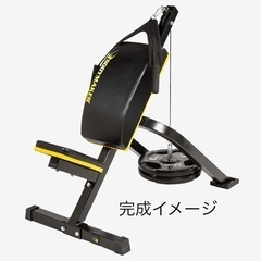 BODYMAKER アブベンチ　おまけウエイト、カウンタ