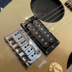 受渡3/29以降】ZO-3 フェルナンデス ぞうさん