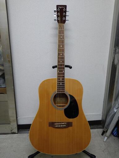 Vanguard  ヴァンガード　アコースティックギター　VDG-01N   弦交換済　ソフトケース付