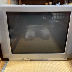 テレビ　見れます