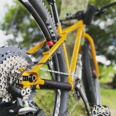 Surly サーリー　カラテモンキー　