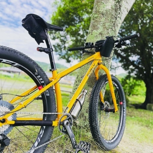 Surly サーリー　カラテモンキー
