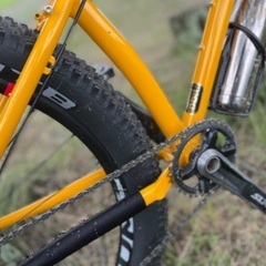 Surly サーリー　カラテモンキー　