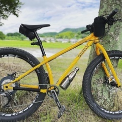 Surly サーリー　カラテモンキー　