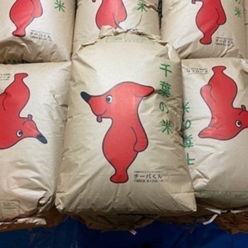 【GW特価】4袋セット【黒酢米】【新米】千葉県野田市産コシヒカリ30kg