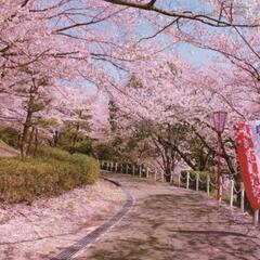 【3/27(日)11時ぐらい～】お花見BBQ😊🌸🍡しませんか？？