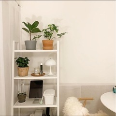 IKEA シェルフユニット　イケア