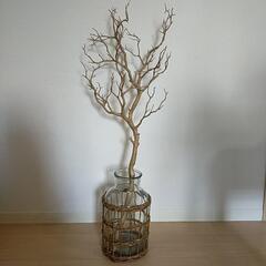 マンザニータ　花瓶　(ウェルカムツリー)