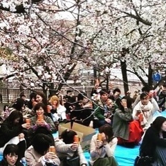 🌸4/2(日)大阪お花見パーティイベント関西１巨大お花見100名...