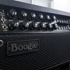 Mesa Boogie MARK-V TWENTY-FIVE