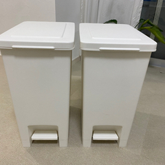 【ネット決済】ゴミ箱　イオンスタイル　30リットル　2つセット