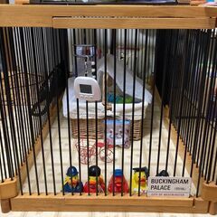 h】メディカル60ルーフ メディカル60+ルーフ