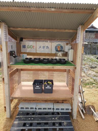 メダカの無人販売を始めました めだかメダカ Katsuya 農学部前のその他の中古あげます 譲ります ジモティーで不用品の処分