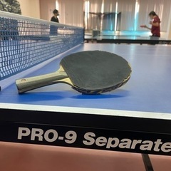 一緒に卓球しませんか🏓　6/11