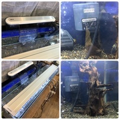 水槽　アクアリウム　一式