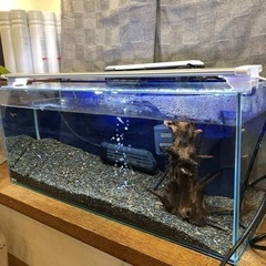 水槽　アクアリウム　一式