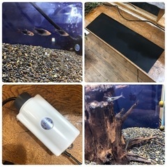 水槽　アクアリウム　一式