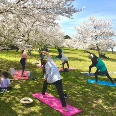 宗像　お花見ヨガ🌸