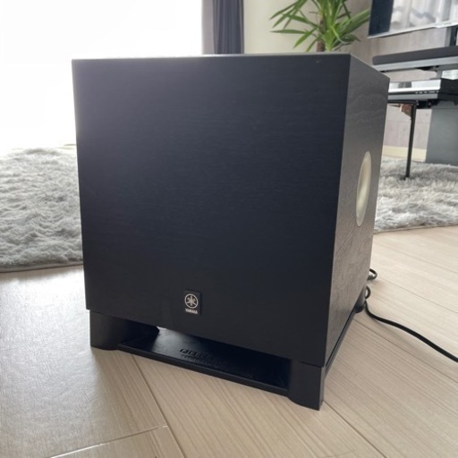 BOSE ボーズ センタースピーカー VCS-10 Bose VCS-10 センター