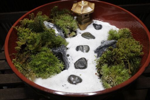 苔テラリウム 日本庭園風 ゴン 苔テラリウム ｊｒ五位堂のその他の中古あげます 譲ります ジモティーで不用品の処分