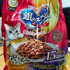 銀のスプーン高齢猫用