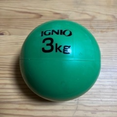 【ネット決済】IGNIO ３kg 