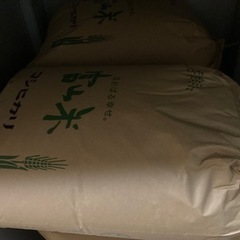 【玄米】令和2年コシヒカリ30.5㎏冷蔵保管品