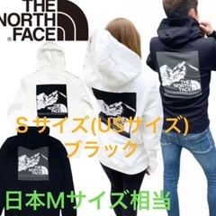 【ネット決済・配送可】THE NORTH FACEパーカー　ブラ...