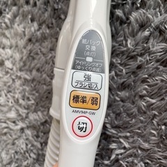 パナソニック掃除機　MC-PK21G-N