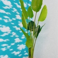 【ネット決済】Ｎｏ．021🌿観葉植物120㎝　タグ付き　未使用品