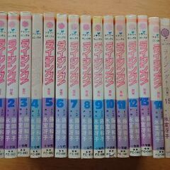 漫画　ライジング　1巻〜15巻　中古品