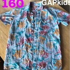 GAP kids  綿100%シャツ　160(xxL) ギャップ