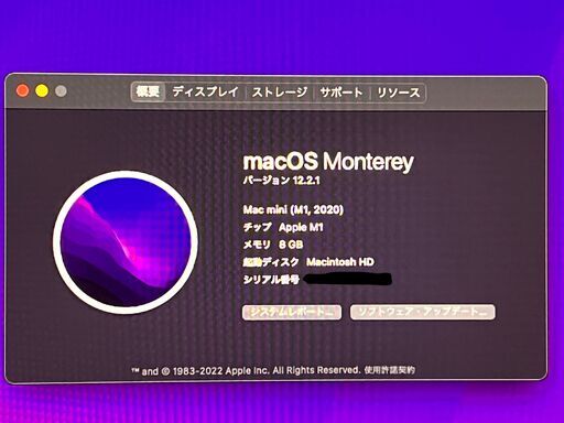 M1 Mac mini 8G 256GB SSD MGNR3J/A | real-statistics.com
