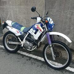 （決まりました）HONDA ホンダ XL250 ディグリー 熊本...