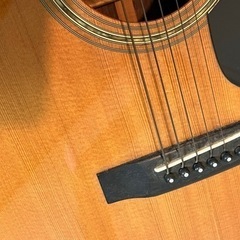 morris w-25 モーリス W25