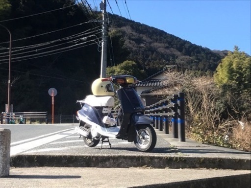 ヤマハミント