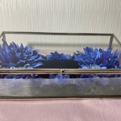 お財布のベッド　ロイヤルブルー