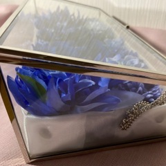 お財布のベッド　ロイヤルブルー