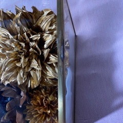 お財布のベッド 赤(女王のベッド)