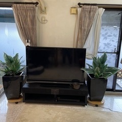 鉢カバー＆プレミアム光触媒フェイクグリーン 2セット