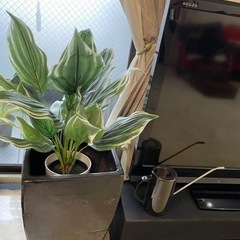 鉢カバー＆プレミアム光触媒フェイクグリーン 2セット