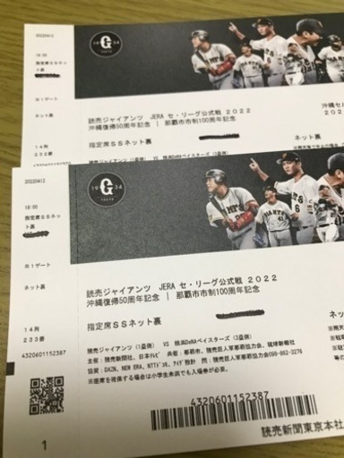 巨人公式戦 SS席ペアチケット