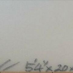 スーパーブランドSUPERツインフィッシュサーフボード『シリアルキーラー』5\'4