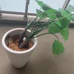 観葉植物(造花) 花瓶