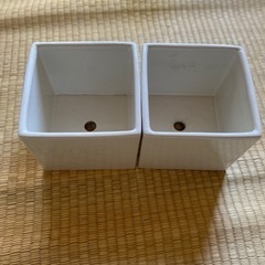 【中古品】ニトリ磁器製植木鉢2個セット