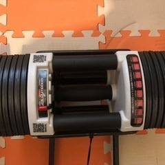 クイックダンベル（FIELDOOR）40.5kg×2