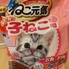 キャットフード(子猫用)