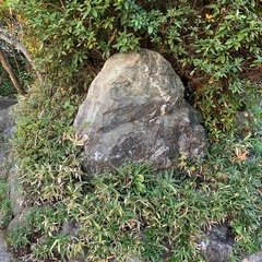 庭石