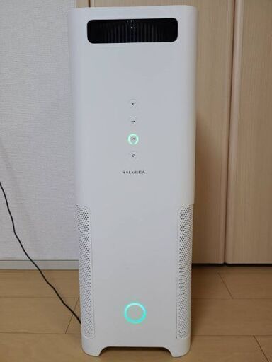 バルミューダデザイン EJT-1100SD-WK